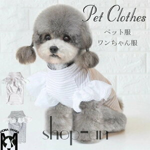 yz s[X tXJ[g t   ^ ^ p hbOEFA N} [X t s[X hX ^Ngbv Rbg   u₩ 