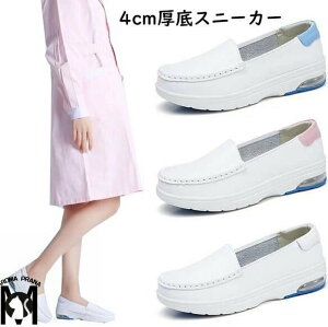 fB[X Xj[J[ D^i[XV[Y _CGbg V[Y@pvX r y 22`25.5cm@4cm@EH[LOV[Y Ōt ƌC@vC@X|[c  r@