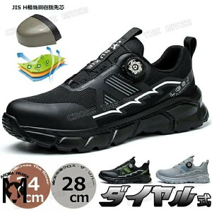 SC  [Jbg IV SC  Y _C 傫TCY 29cm ʋC y ₷ ɂ AC Ռz ƌC ʋC S |c AEgh