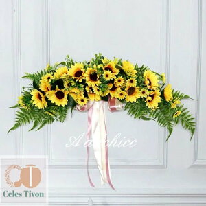 [X փ[X Ђ܂̃[X 傫 NX}X   k  D  t hA Ǌ|   vU[uht[ CeA Mtg v[g zj V