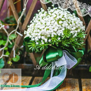 u[P  EGfBOu[P ԉ t[  uC_u[P ԃu[P 񎟉 i ԑ I Be CeA NX}X zCg