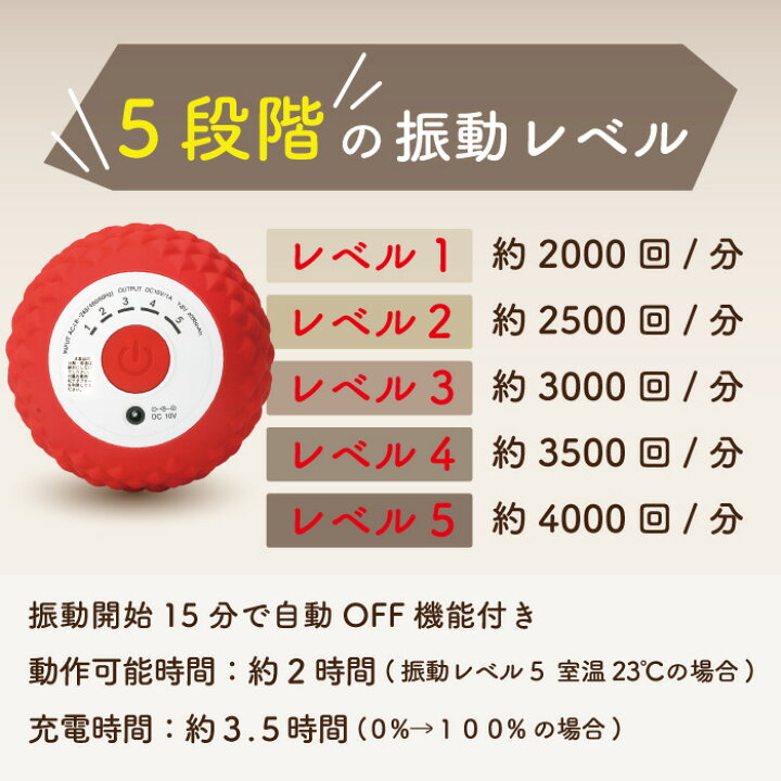 楽天市場】【最強配送】シェイプツインボール フィットネスクラブが 