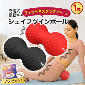 【最強配送】シェイプツインボール フィットネスクラブがつくった レッド ブラック 振動マシン 骨盤底筋 フィットネスマシン STB-100 振動5段階