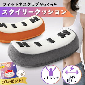 スタイリークッション フィットネスクラブがつくった EMS 筋トレ 10分 腹筋 背筋 体幹 下腹 くびれ 姿勢 ストレッチ 寝ながら 正規品