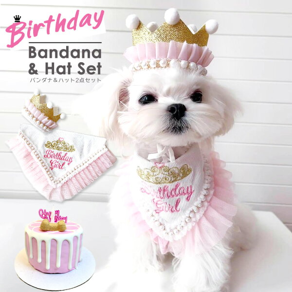 送料無料/ 犬 誕生日 帽子 通販 バースデー 犬猫 アクセサリー スタイ ハット よだれかけ バンダナ 2点セット パール  レース ピンク ハッピーバースデー お祝い 記念撮影 ペット用品 かわいい おしゃれ ペットグッズ 犬グッズ ギフト