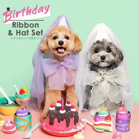 送料無料/ 犬 誕生日 帽子 通販 バースデー 犬猫 リボン ロング レース ベール チュール 2点セット スタイ ハット バンダナ パープル ホワイト お祝い 記念撮影 ペット用品 かわいい おしゃれ ペットグッズ 犬グッズ パーティーハット りぼん