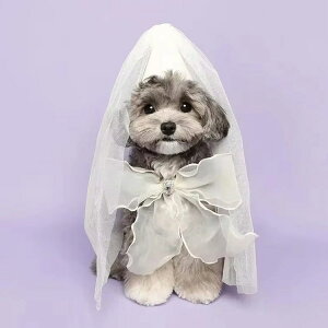 /  a Xq ʔ o[Xf[ L { O [X x[ `[ 2_Zbg X^C nbg o_i p[v zCg j LOBe ybgpi 킢  