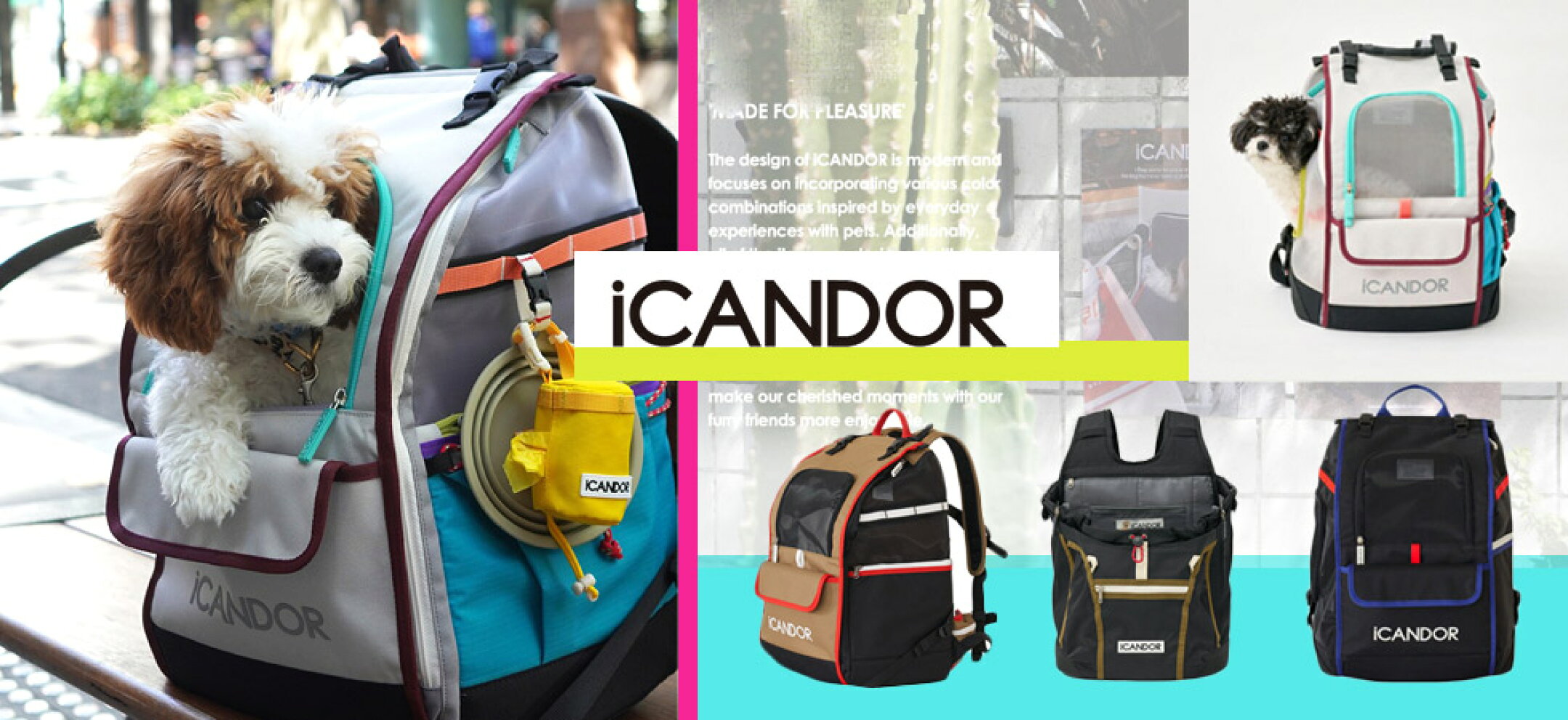 iCANDOR