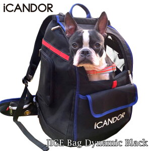 yő500~ItN[|Lz iCANDOR JIGE bag Dynamic Black obO p hbOobO ̃obN  o ̃L[obO ̃L[P[X bNTbN wL[ L
