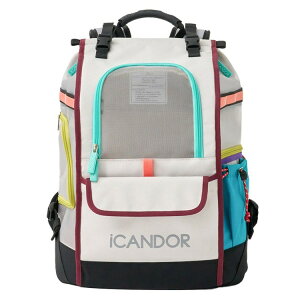 yő500~ItN[|Lz iCANDOR JIGE bag Misty Gray obO pobO hbOobO ̃obN  o ̃L[obO ̃L[P[X bNTbN wL[ L