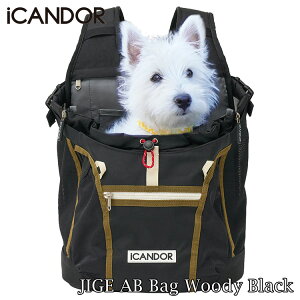 yő1000~ItN[|Lzyr[Tz iCANDOR JIGE AB bag Woody Black obO pobO hbOobO ̃obN  o ̃L[obO ̃L[P[X bNT