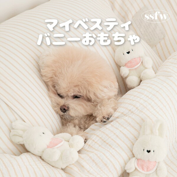 送料無料/ SSFW マイベスティバニー おもちゃ おもちゃ 犬  犬用おもちゃ 犬のおもちゃ ぬいぐるみ 音 小さめ かわいい 音 ピーピー 小型犬 中型犬 人気 知育玩具 誕生日 おやつ 韓国