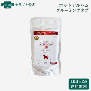 zbgAo dY_CIPA O[~O^u Lp 10×2܁i02497j