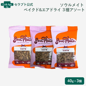 \ECg xCNh&GAhCt[h Lp 3A\[g(V[t[hE`LEbh~[ge1)mlR|Xn2܂