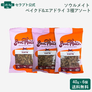 \ECg xCNh&GAhCt[h Lp 3A\[g(V[t[hE`LEbh~[ge2)