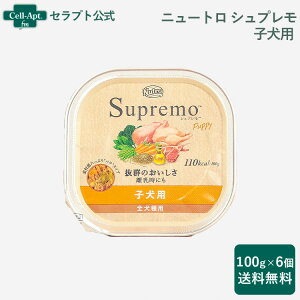 j[g Vv qp gC 100g×6yzsi(4902397861089)