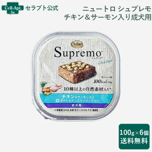 j[g Vv `LT[ p gC 100g×6[|egfBgbsO]yz(63557)