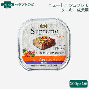 j[g Vv ^[L[ p gC 100g[`[Y& gbsO]mlR|Xn6܂(63526)