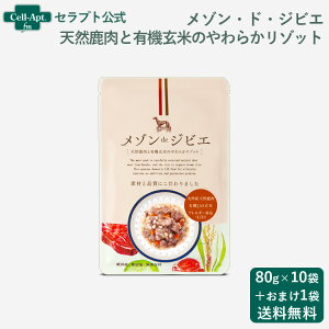 ]EhEWrG VRƗL@Ă̂炩]bg p 80g×10܁{1܂܂i01035j