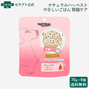 i`n[xXg ₳͂ tPA p 70g×6i09695j