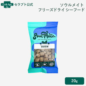 \ECg t[YhCt[h V[t[h p 20gmlR|Xn6܂܂Łi80428j