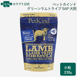 ybgJCh p SAP O[gCv  230g1ll2[53009]