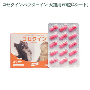 yV[g̔z GR RZNCpE_[C Lp 60(4V[g) O珤io܂