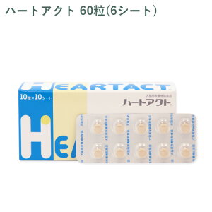 yV[g̔zS n[gANg Lp 60(6V[g) O珤io܂