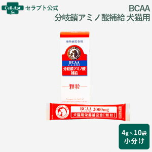 BCAAir[V[GCGCj 򍽃A~m_⋋ Lp 4g×10܁ij
