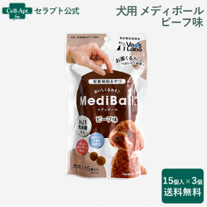 y⏕zfB{[ p r[t 15×31ll2Zbgi94096j