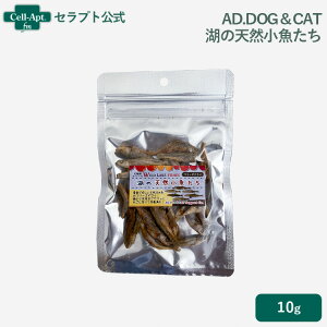 AD.DOGCAT t[YhC ΂̓VR Lp 10gmlR|Xn8_܂(31016)