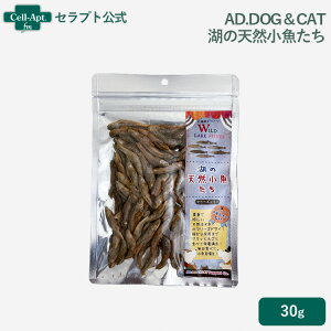 AD.DOGCAT t[YhC ΂̓VRLp 30gmlR|Xn6_܂(31023)