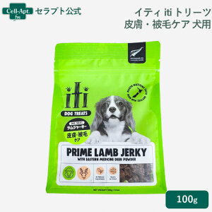 CeB iti g[cW[L[ 畆EуPA p100gmlR|Xn4܂(47739)