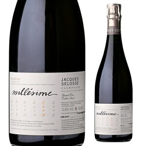 WbN ZX ~W [2005] 750ml Vp Vp[j yY j Mtg Ε Εy|CgΏۊOz