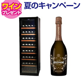 ワイン付★ワインセラー ルフィエール GALLERY88 (C88DIS)　88本収納 業務用 コンプレッサー式 家庭用 1年保証 冷蔵庫 日本酒セラー ワインクーラー 家電 おしゃれ 静か 温度管理 お酒 保存 保管 簡単操作
