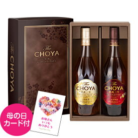 送料無料 ザ チョーヤ ギフトエディション 700ml×2本セット The CHOYA 三年 一年熟成 梅酒 SINGLE YEAR ＆ AGED3YEARS 贈り物 贈答 プレゼント RSL