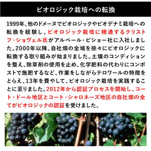 画像ファイル