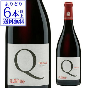 yNłP5{ 11/25zNGNX Aht [2019] 750ml hCc CKE h ԃC Vy[guO_[ l^A yY j Mtg Ε Ε