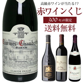 【送料無料】高級ワインを探せ！ 赤ワインくじ 第28弾！ デュガ シャペルシャンベルタンが当たるかも!?【先着300セット】 ボルドー ブルゴーニュ カリフォルニア シャンベルタン パルマッツ ミュニエ アルマヴィーヴァ 赤ワイン 福袋【P10倍対象外】