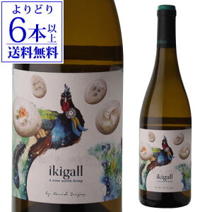 yNłP10{ X[p[SALEzyǂ6{ȏ㑗zCLKC [2024]KbW[i f sG 750mlXyC ylfX ` h I[KjbN rI GuW \G C Gf