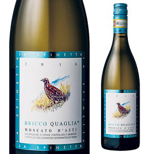  Xslb^ XJ[g_XeB ubRNA 750ml C^A sGe ÌA AR[x4.5 Mtg v[g C l^A yY j Mtg Ε Εy|