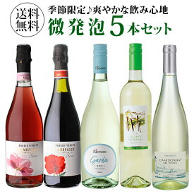 【1本あたり1,100円(税込) 送料無料 キンキンに冷やして飲みたい微発泡セット 750ml 5本入フリッツアンテ ワインセット スパークリングセット 泡 ワイン スパークリング 長S 母の日 お花見 手土産 お祝い ギフト