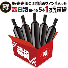 (予約) 送料無料 赤 白 泡 選べるワイン5本 1万円(税別) 福袋 赤ワイン5本 白ワイン5本 スパークリングワイン5本 コース ワイン福袋 ワインセット 泡 辛口 浜運2024/6/8以降発送【ポイント対象外】