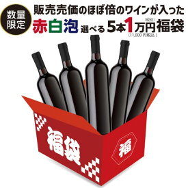 (予約) 送料無料 赤 白 泡 選べるワイン5本 1万円(税別) 福袋 赤ワイン5本 白ワイン5本 スパークリングワイン5本 コース ワイン福袋 ワインセット シャンパーニュ 泡 辛口 浜運2024/3/8以降発送予定