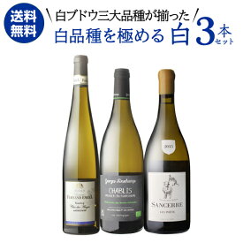 【誰でもP5倍 4/24 20時～/25 24時】クーポン利用で1本あたり3,334 円(税込) 送料無料 白品種を極める 三大品種 白ワイン 3本セット 750ml 3本入リースリング シャブリ ソーヴィニヨンブラン ワインセット 浜運