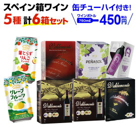 期間限定缶チューハイプレゼント【ボトル換算450円 送料無料】スペイン産 赤だけ箱ワイン 5種6箱セット 10弾 箱ワイン ワインセット 辛口 スペイン BIB 長S