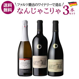 クーポン利用で1本あたり4,067 円(税込) 送料無料 ドイツでこの品種？ なんじゃこりゃ3本セット 750ml 3本入ドイツ ファルツ シュナンブラン テンプラニーリョ カベルネフラン ワインセット 浜運 あす楽