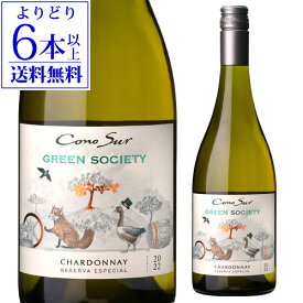 【よりどり6本以上送料無料】コノスル グリーンソサエティ シャルドネ 750mlチリ カサブランカ ヴァレー 白ワイン 長S お中元 御中元