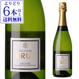 【よりどり6本以上送料無料】プルビウム ブリュット オーガニック ヴィセンテ ガンディア 750mlスペイン マカベオ シャルドネ スパークリング 白泡 辛口 浜運A ワイン