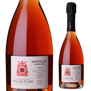 yNłP10{ X[p[SALEzR[ sJ[FC [ h ZjG v~G N GNXg ubg NV 750mlFe Vp[j Vp l^A